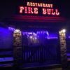 Fire Bull - фото (4548-47925)