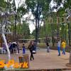 Верёвочный парк в Парке Горького - фото (9387-53820)