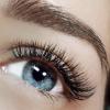Lash Brow - фото (8028-50968)