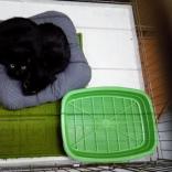 Гранд - фото (643-2435)