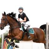 Free Riding Club Конно-спортивный клуб - фото (9135-53382)