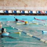 Спорткомплекс Наука  - фото (684-2695)