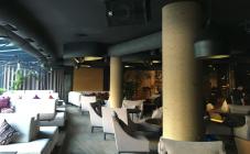 Koya - фото (6263-40951)