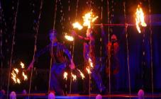 Дніпропетровський державний цирк - фото (897-4066)