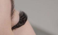 Vivienne  - фото (8024-50954)