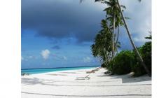Туристическое агентство "Эстет-тур" - фото (1460-7955)