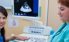 ZOOЛЮКС - фото (638-2413)