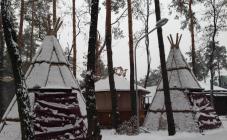 Fire Bull - фото (4548-47926)