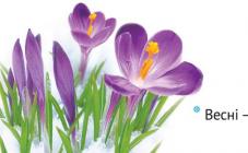 Aequo - фото (730-3038)