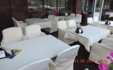 Акула-джаз - фото (6250-41491)