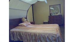 Патронажная служба Киева «Сестры Милосердия» - фото (1767-9473)