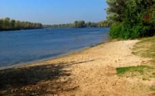 Green Style - фото (6588-43920)