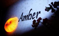 Amber - фото (6272-40810)