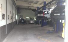 Луцк-Экспо - фото (3204-39254)