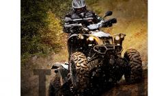 Прокат квадроциклов в Днепре - фото (1243-6892)