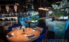 Guramma - фото (4297-45797)