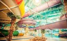 Аквапарк юрского периода «DREAM ISLAND»  - фото (554-1886)