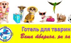 «Центр современной ветеринарной медицины» - фото (707-2889)