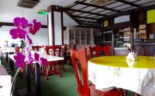 Укроп - фото (3721-46281)