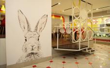 Sunny Yummy - фото (4181-45344)