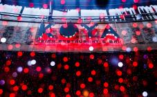 Koya - фото (6263-40949)