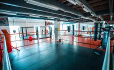 MegaGym - фото (574-1995)