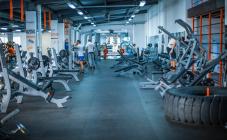 MegaGym - фото (574-1997)