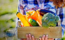 Gastro Bar Пейзажка - фото (3989-26312)