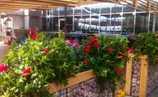 Ресторан Dk - фото (4573-27373)