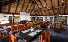 KOZAK - фото (6271-40955)