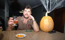 Вундербар - фото (5104-47164)