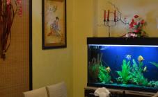 Суши Таун - фото (3905-48217)