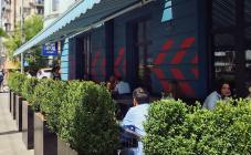 Здоровий Глузд - фото (3818-47212)