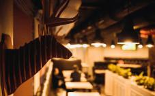 Рудий Олень - фото (4809-48054)