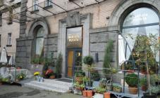 Kartata Potata - фото (4219-47917)