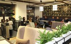 Rooster - фото (4296-47554)