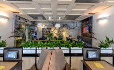 Rooster - фото (4296-47556)