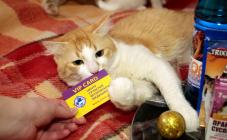 «Центр современной ветеринарной медицины» - фото (707-2888)