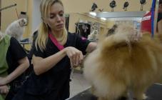 Салон для животных Mary Groom - фото (814-3502)