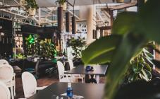 Авалон A-Karaoke - фото (6239-41467)