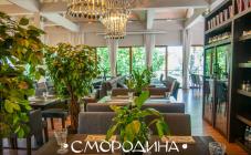 Смородина - фото (6238-41992)