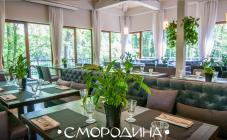 Смородина - фото (6238-41991)