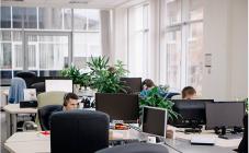 Sigma Software Group - фото (1636-8802)