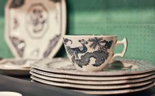 Indokitai - фото (3846-45787)