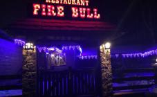 Fire Bull - фото (4548-47925)
