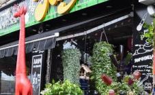 Поляна - фото (4572-27718)