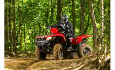 Экстрим-парк "X-Park" - фото (1247-6906)