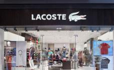 Lacoste - фото (8092-51147)