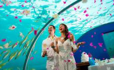 Туроператор Калипсо Украина - фото (1408-7714)