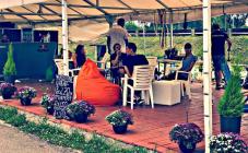 Woodstone - фото (3961-47584)